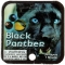 BLACK PANTHER - MEGA MARBLES - MEGA MARBLES 24+1 (2009-2013) (FACE)